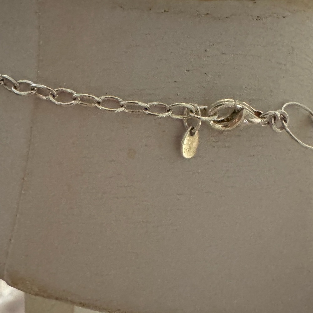 Elegant Sterling Silver circle link Necklace